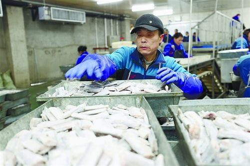 連云港規上工業企業穩產增 食品經營助力經濟社會發展首季開門紅