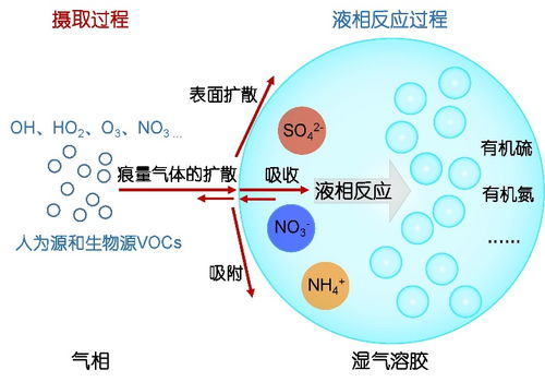 大氣氣溶膠液態水中二次有機氣溶膠生成機制研究進展