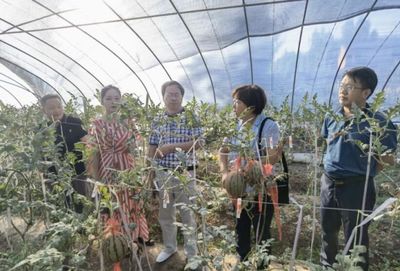 齊魯農業專家重慶行 科技賦能農業發展的探索與實踐